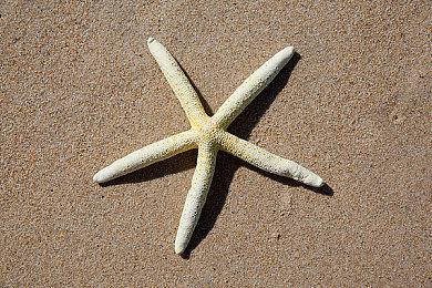 PS发布会：PSVR2独占新作《Synapse》7月4日推出